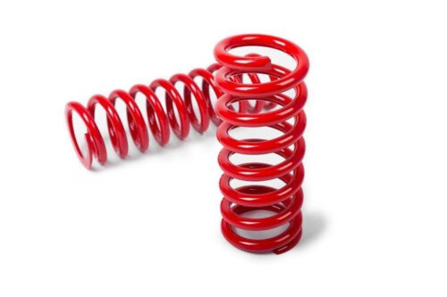 MTS Technik lowering springs (rear) for AUDI A4 8E — lowering 30 mm