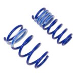ap lowering springs for VW POLO V 6R