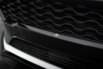 Maxton prednja mreža za Ford Fiesta ST / ST-Line Mk8