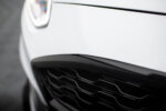 Maxton prednja mreža za Ford Fiesta ST / ST-Line Mk8