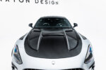 [Carbon] Maxton engine cover for Mercedes-AMG GT 43 / 63 / 55 / 63 S E Performance C192