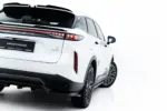 Maxton rear splitter (with vertical bars) for Omoda 9 Mk1