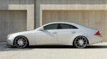 Maxton side skirt diffusers for Mercedes C219