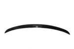 Maxton spoiler extension for Lexus NX Preface/Facelift