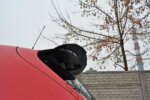Maxton spoiler extension for Seat Leon MS Design Mk2
