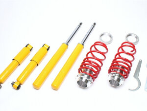 TA Technix coilovers for Citroën Saxo , 106 I +II (S0/S1) 1991-2004