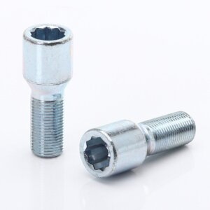 Silver Extended Internal Drive Wheel Bolts M12x1.25 (32 mm - Pack of 10)