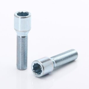 Silver Extended Internal Drive Wheel Bolts M14x1.25 (45 mm - Pack of 10)