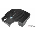 Eventuri carbon engine cover for BMW M2 F87