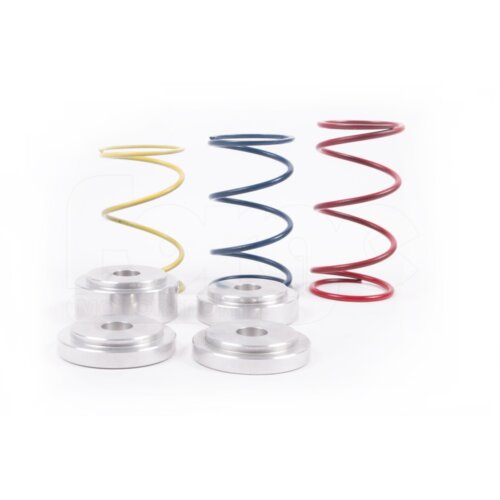 Forge Motorsport spring and spacer kit for FMDVRAYV2