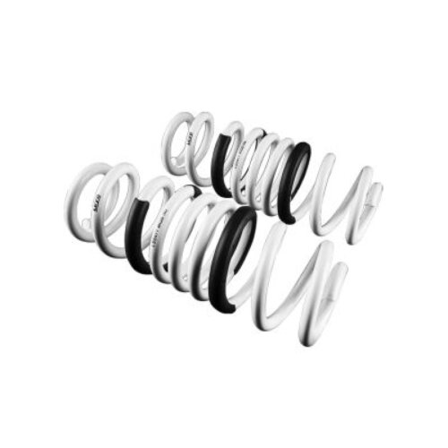 Leyo Motorsport lowering springs for VW Golf 7/7.5 R (4Motion)