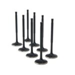 ZRP intake valves for BMW 1.8L M42