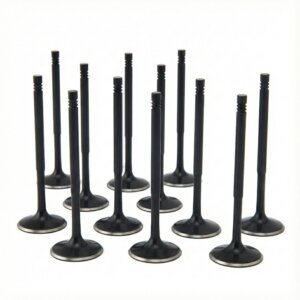 ZRP intake valves for BMW 3.0L N55/S55