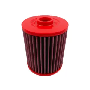 BMC sports air filter FB01029 for Audi A6, S6