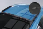 CSR roof fins for Audi R8 (Type 4S) Coupe