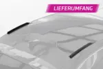 CSR roof fins for Curpa Tavascan
