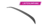 CSR rear spoiler for Mercedes-Benz T-Class (W420)