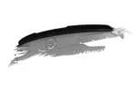CSR rear spoiler for Vauxhall Insignia B Grand Sport OPC-Line