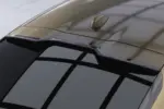 CSR stražnji spojler za BMW X6 (G06)