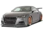 CSR maske prednjih svjetala za Audi TT III (FV/8S)
