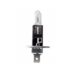 Einparts halogen bulb H1 12 V 55 W 3000 K, 1 pc