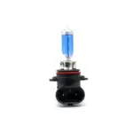 Einparts halogen bulbs HB4 12 V 55 W 5000 K, pair