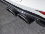 Bull-X exhaust tips Y-Style Typ 14 Carbon oval offset 2x225x70 mm