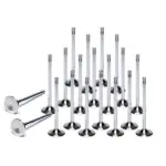 Ferrea valves for S3 8L / TT 8N / Leon 1M / Golf 4 GTI 1.8T 20V