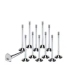 Ferrea valves for Golf 3 VR6