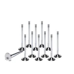 Ferrea valves for Golf 3 VR6