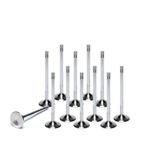 Ferrea valves for Golf 3 VR6