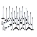 Ferrea valves for BMW M3 E46