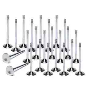 Ferrea valves for BMW M3 E46