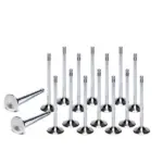 Ferrea valves for BMW 135i E8x / 1M / 335i E9x N54