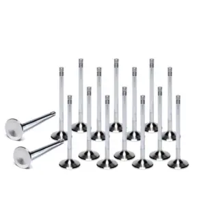 Ferrea valves for Honda Civic Type R FK2 / FK8 / FL5