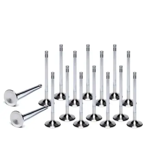 Ferrea valves for Honda Integra Type R B18