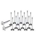 Ferrea valves for Mitsubishi Lancer Evo 10