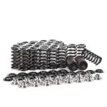 Ferrea valve spring and retainer kit for Audi S4 / RS4 B5