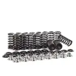 Ferrea valve spring and retainer kit for BMW M3 E46